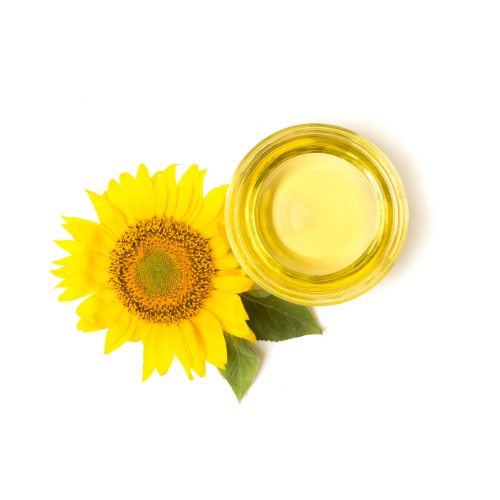 Sunflower Oil
