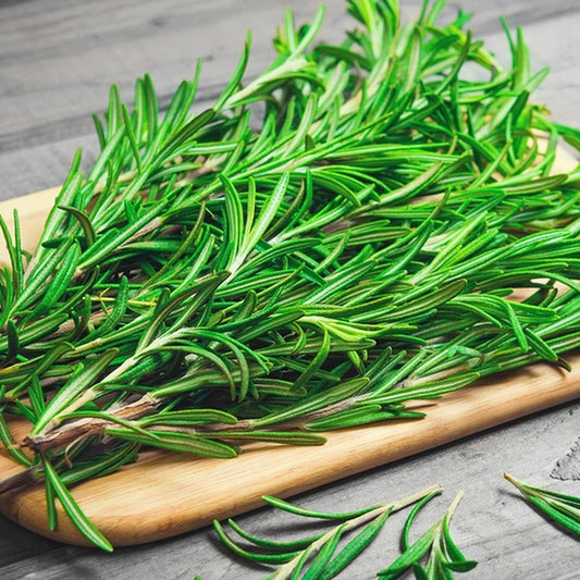 Rosemary Essential Oil