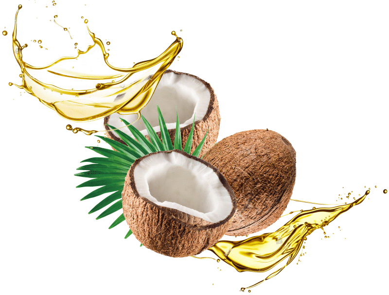 Coconut Oil (Hot Pressed)